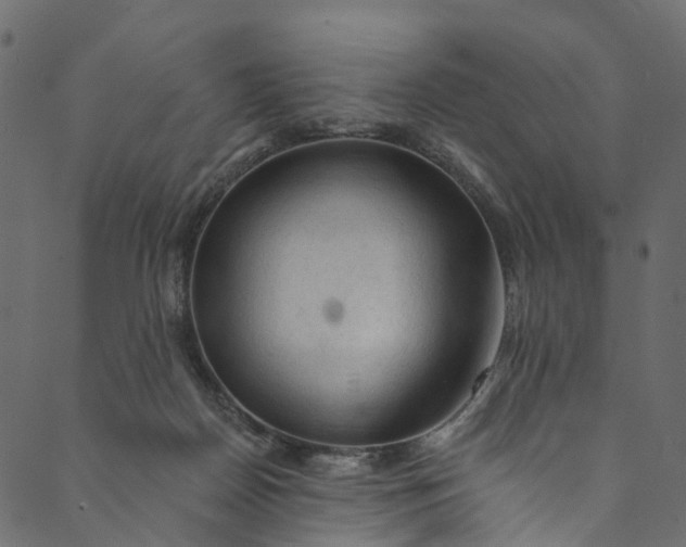 X0000089680170200707121258