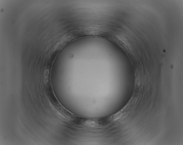 X0000089680171200707121258