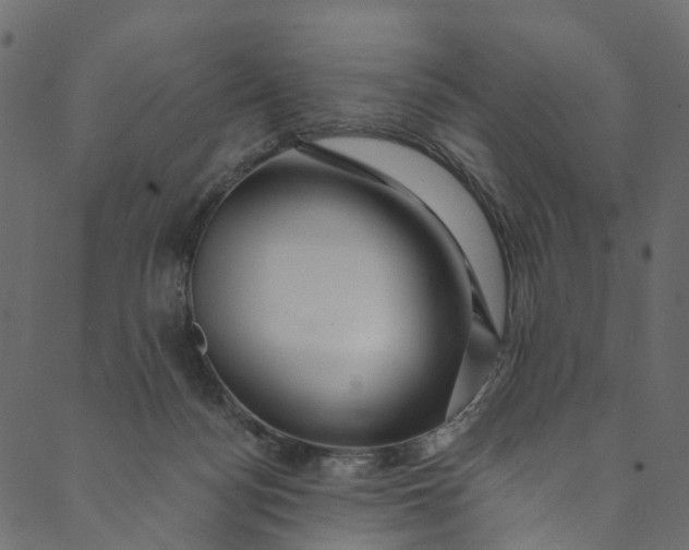 X0000089680172200707121258