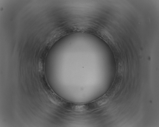 X0000089680173200707121258