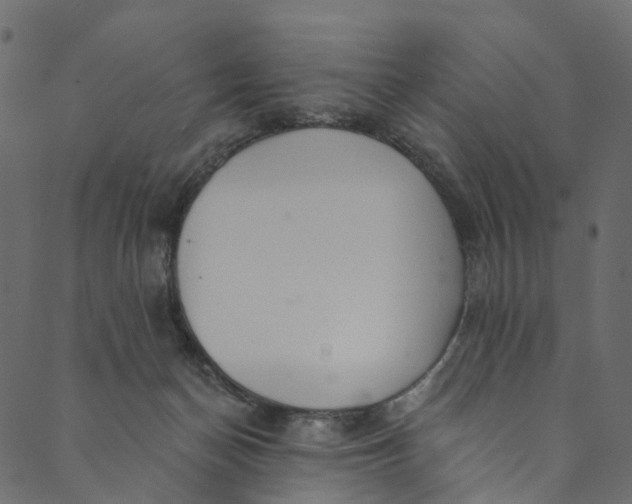 X0000089680174200707121258