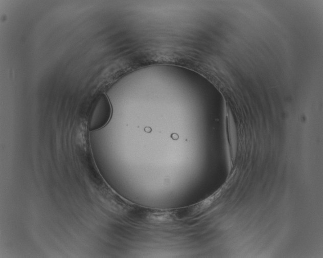 X0000089680175200707121258