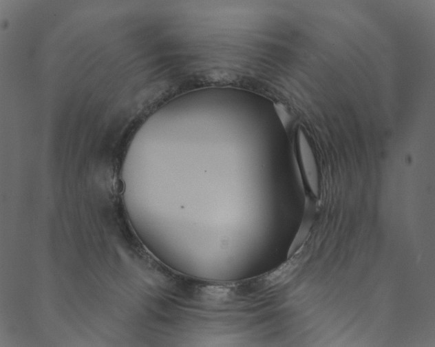 X0000089680176200707121258