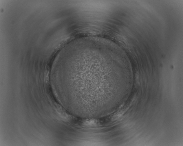 X0000089680177200707121258