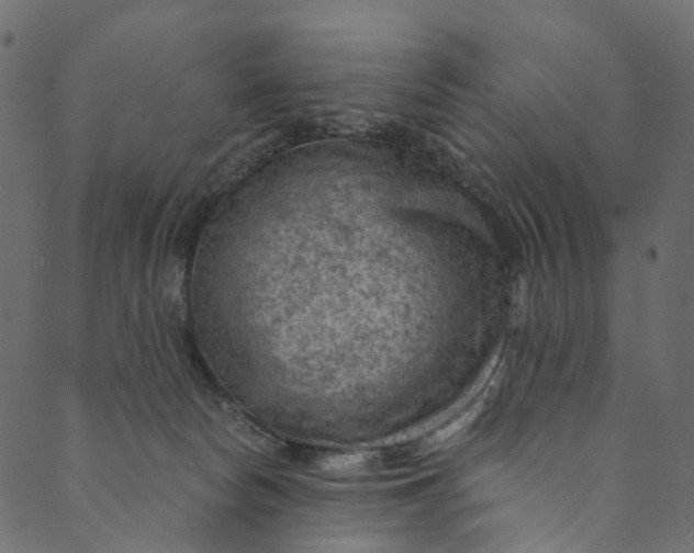 X0000089680178200707121258