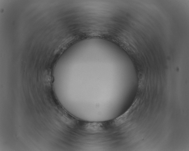 X0000089680179200707121258