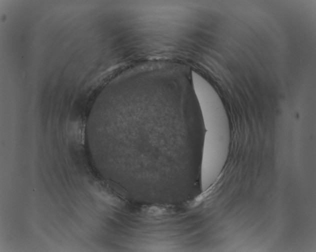 X0000089680180200707121258