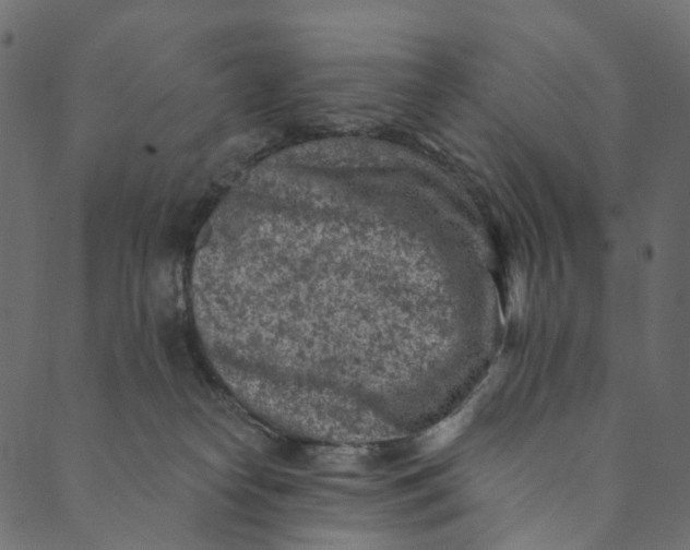 X0000089680182200707121258