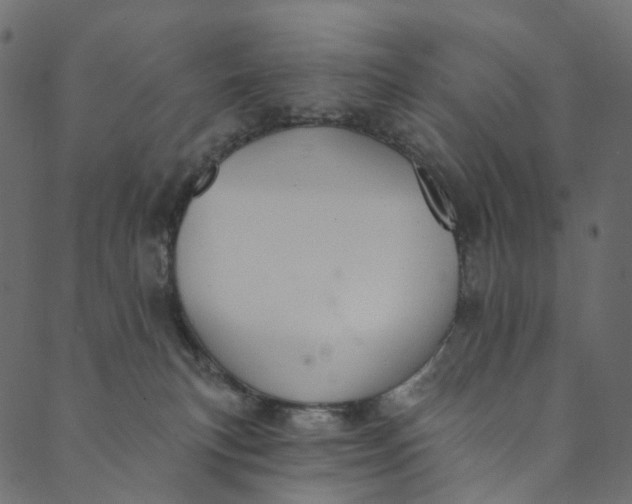 X0000089680183200707121258