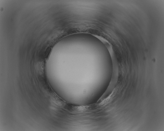 X0000089680184200707121258