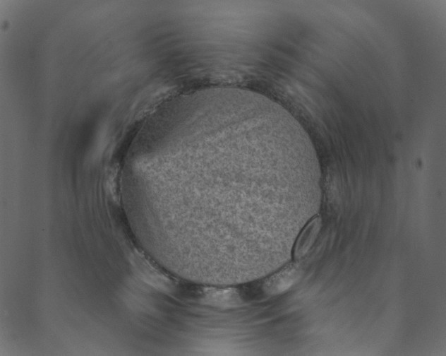 X0000089680185200707121258