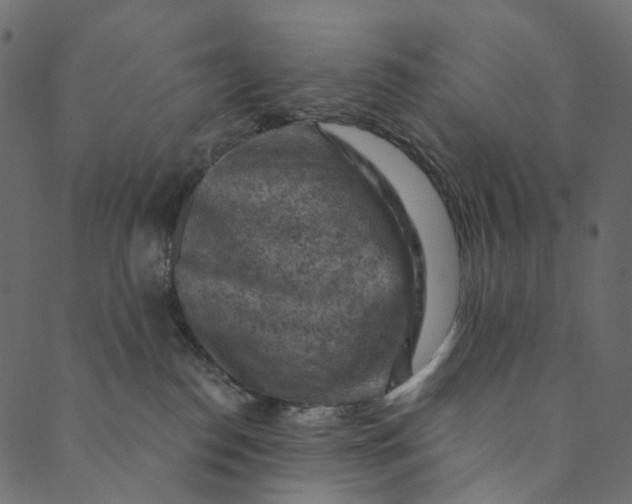 X0000089680186200707121258