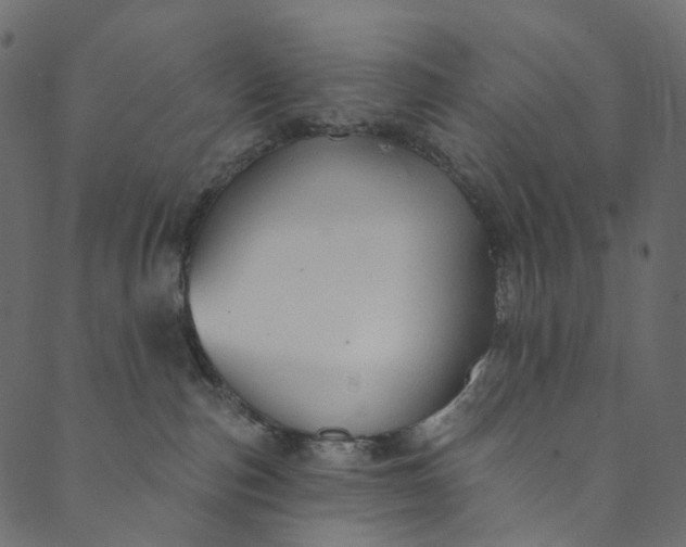 X0000089680187200707121258