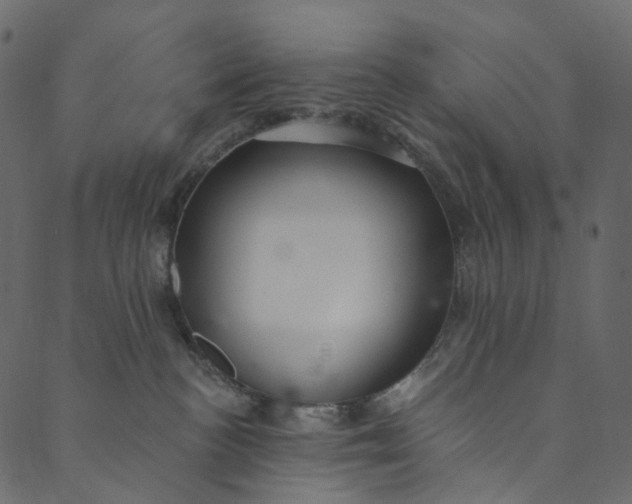 X0000089680188200707121258