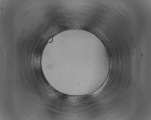 X0000089680190200707121258