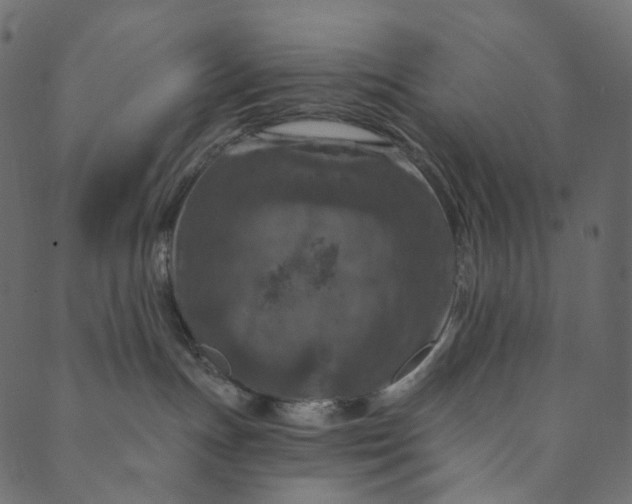 X0000089680191200707121258