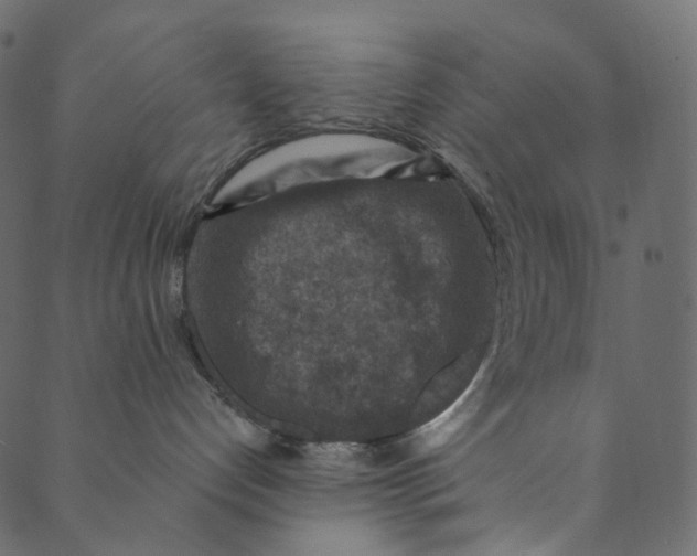 X0000089680192200707121258