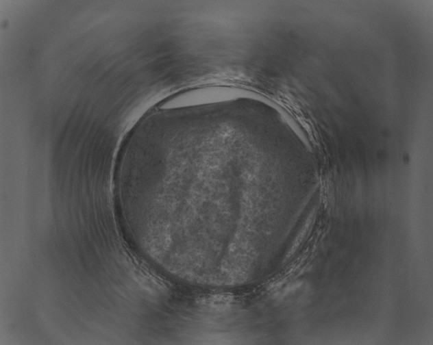 X0000089680196200707121257