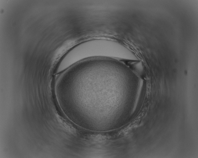 X0000089680197200707121257