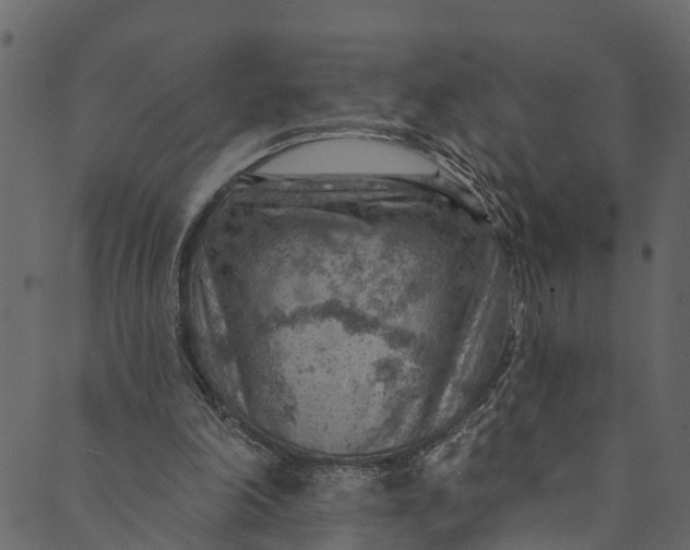 X0000089680198200707121257