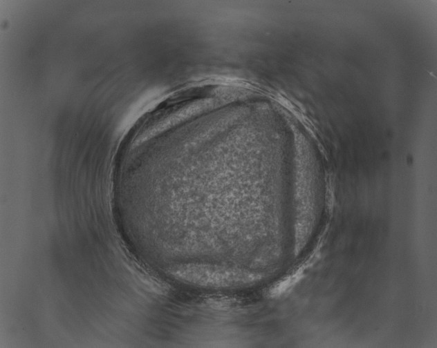 X0000089680199200707121257