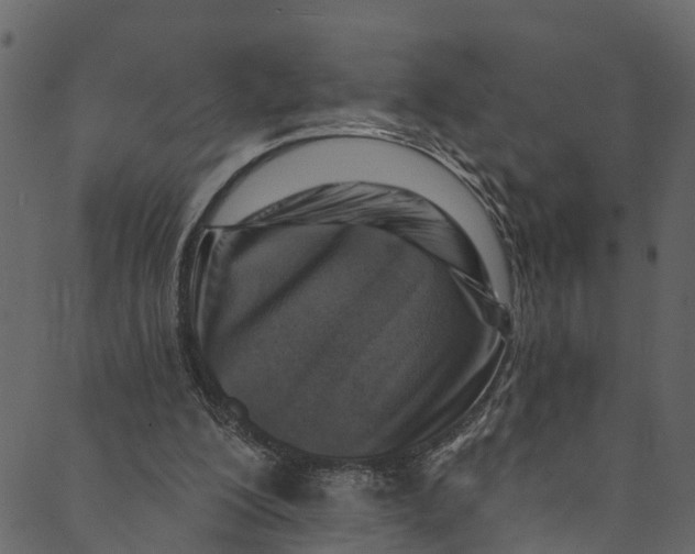 X0000089680200200707121257