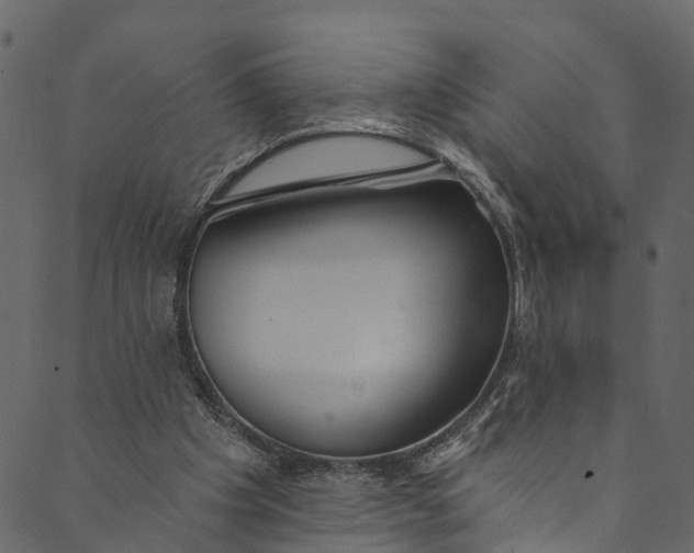 X0000089680201200707121257