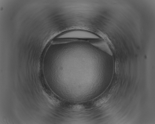 X0000089680204200707121257