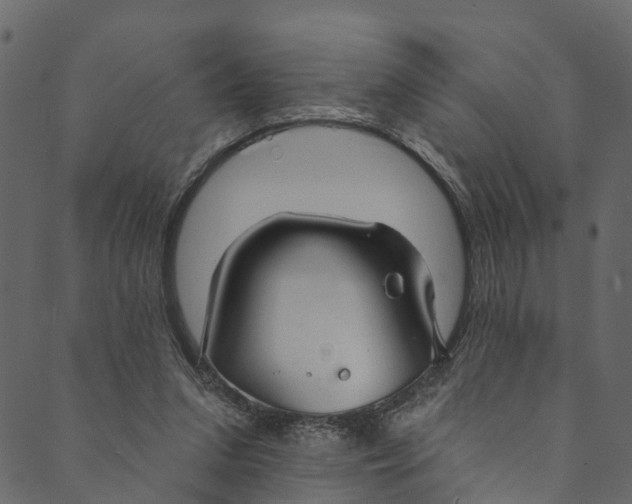 X0000089680207200707121257