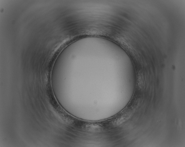 X0000089680208200707121257