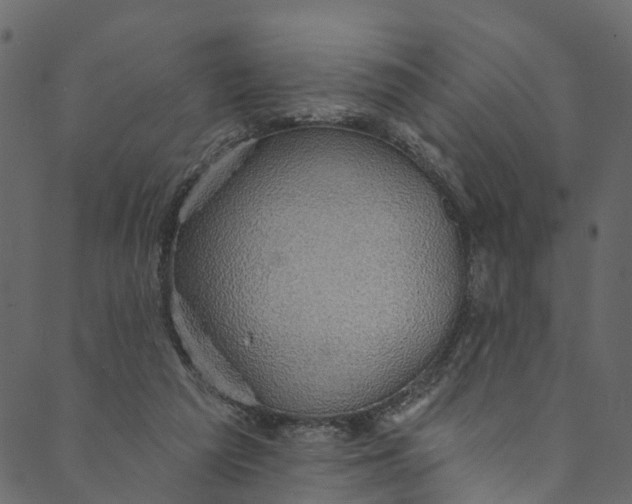 X0000089680209200707121257