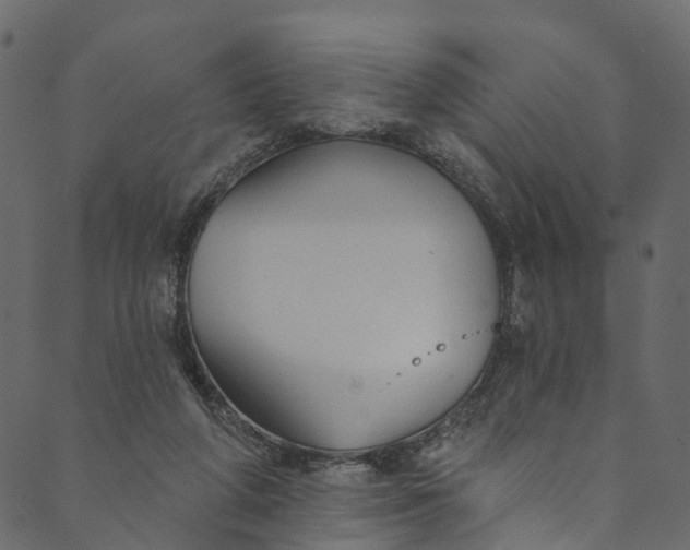 X0000089680210200707121257