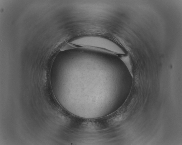 X0000089680211200707121257