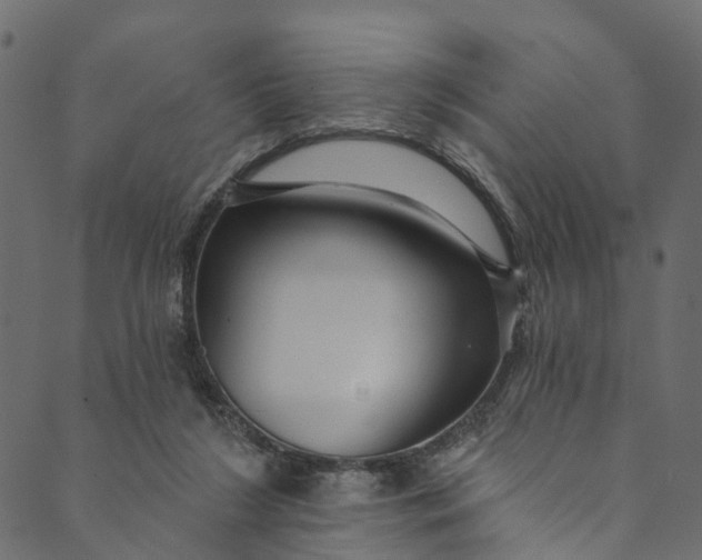 X0000089680212200707121257