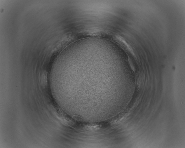 X0000089680213200707121257