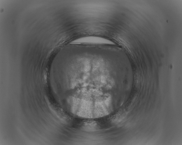 X0000089680214200707121257