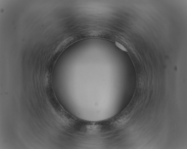 X0000089680216200707121257