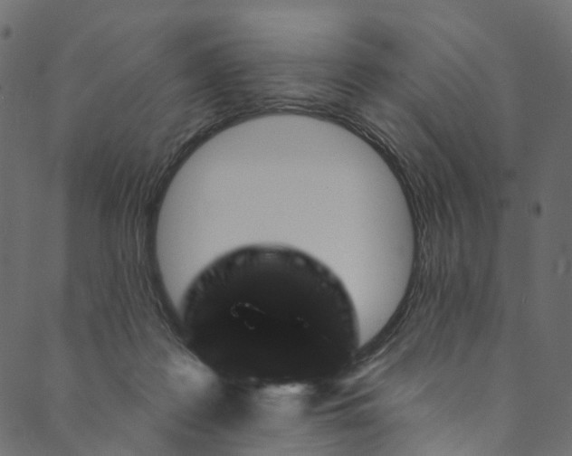 X0000089680219200707121257