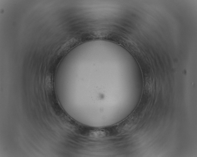 X0000089680220200707121257