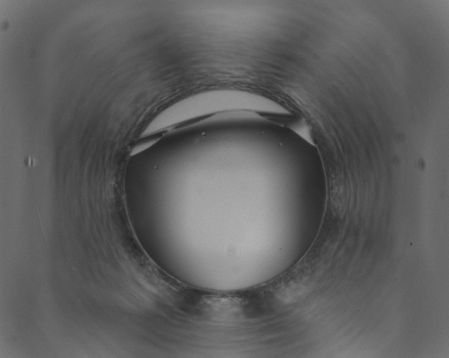 X0000089680221200707121257