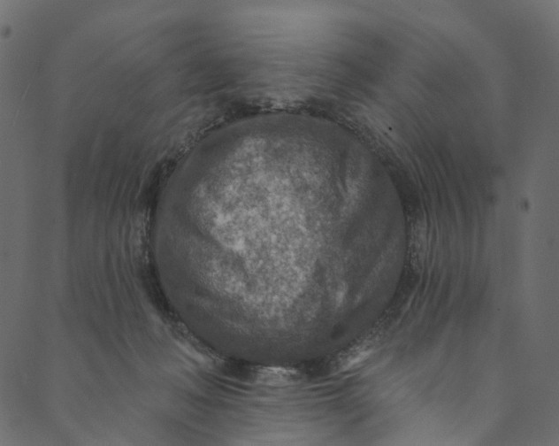 X0000089680222200707121257