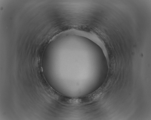 X0000089680225200707121257