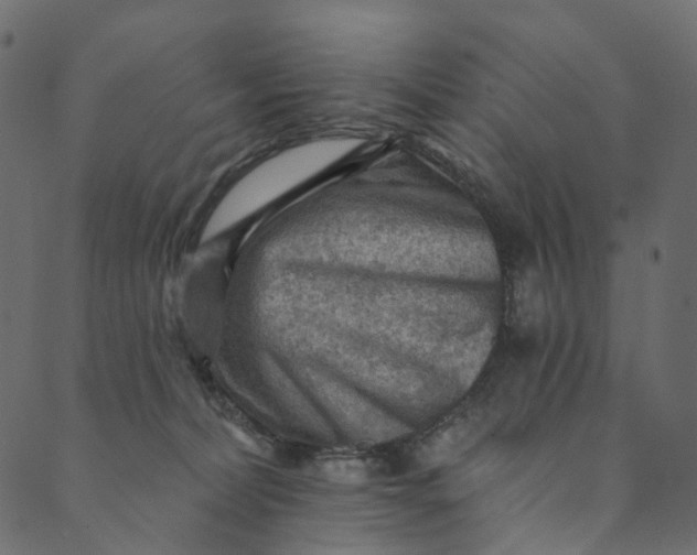 X0000089680228200707121257