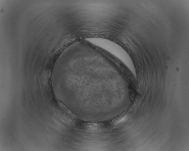 X0000089680229200707121257