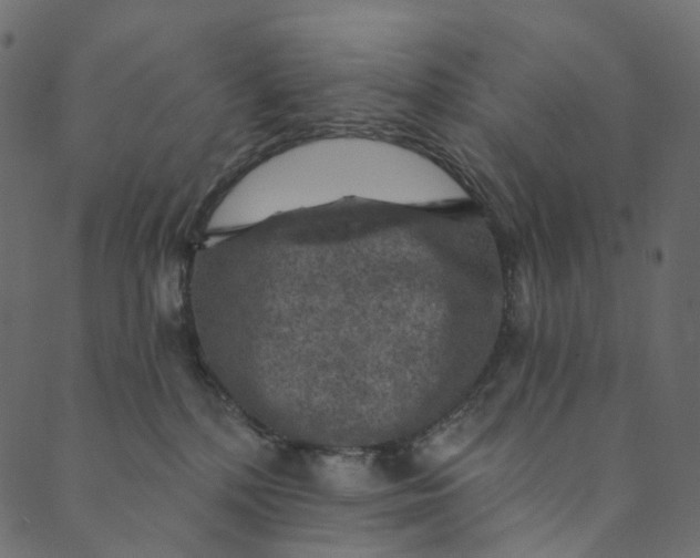 X0000089680232200707121257