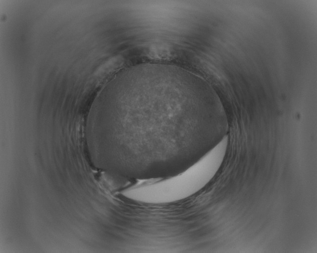 X0000089680233200707121257