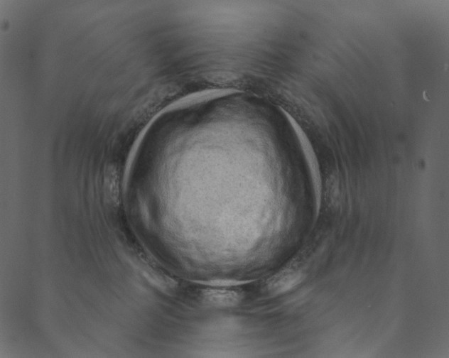 X0000089680234200707121257