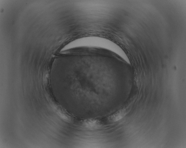 X0000089680235200707121257