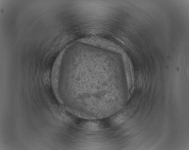 X0000089680236200707121257