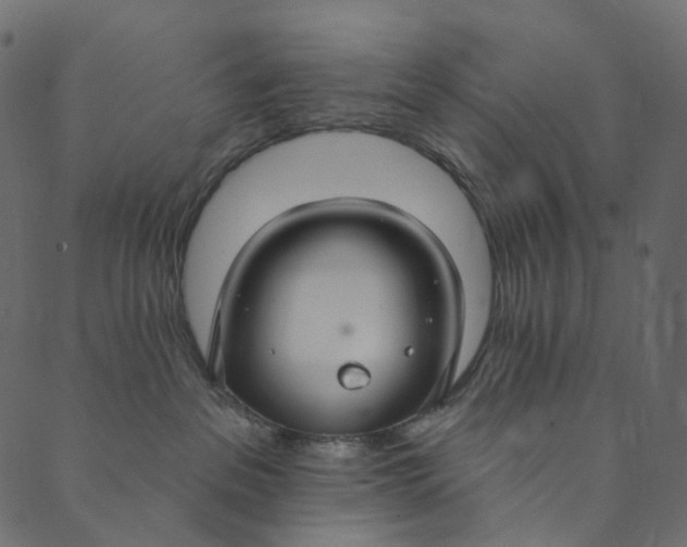 X0000089680237200707121257